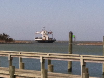 Life on a Sandbar